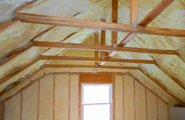 Professional Insulation Contractor in Mansfield, LA