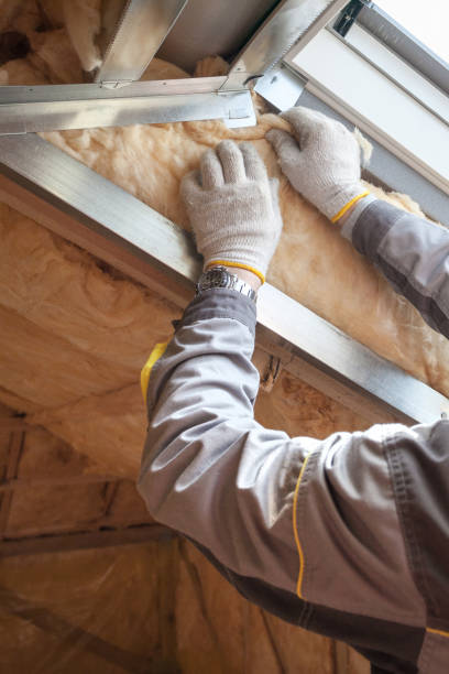 Insulation Repair Services in Mansfield, LA