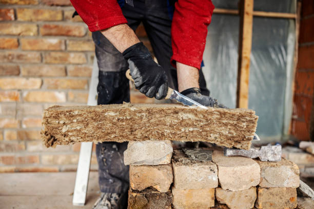 Best Attic Insulation Installation  in Mansfield, LA